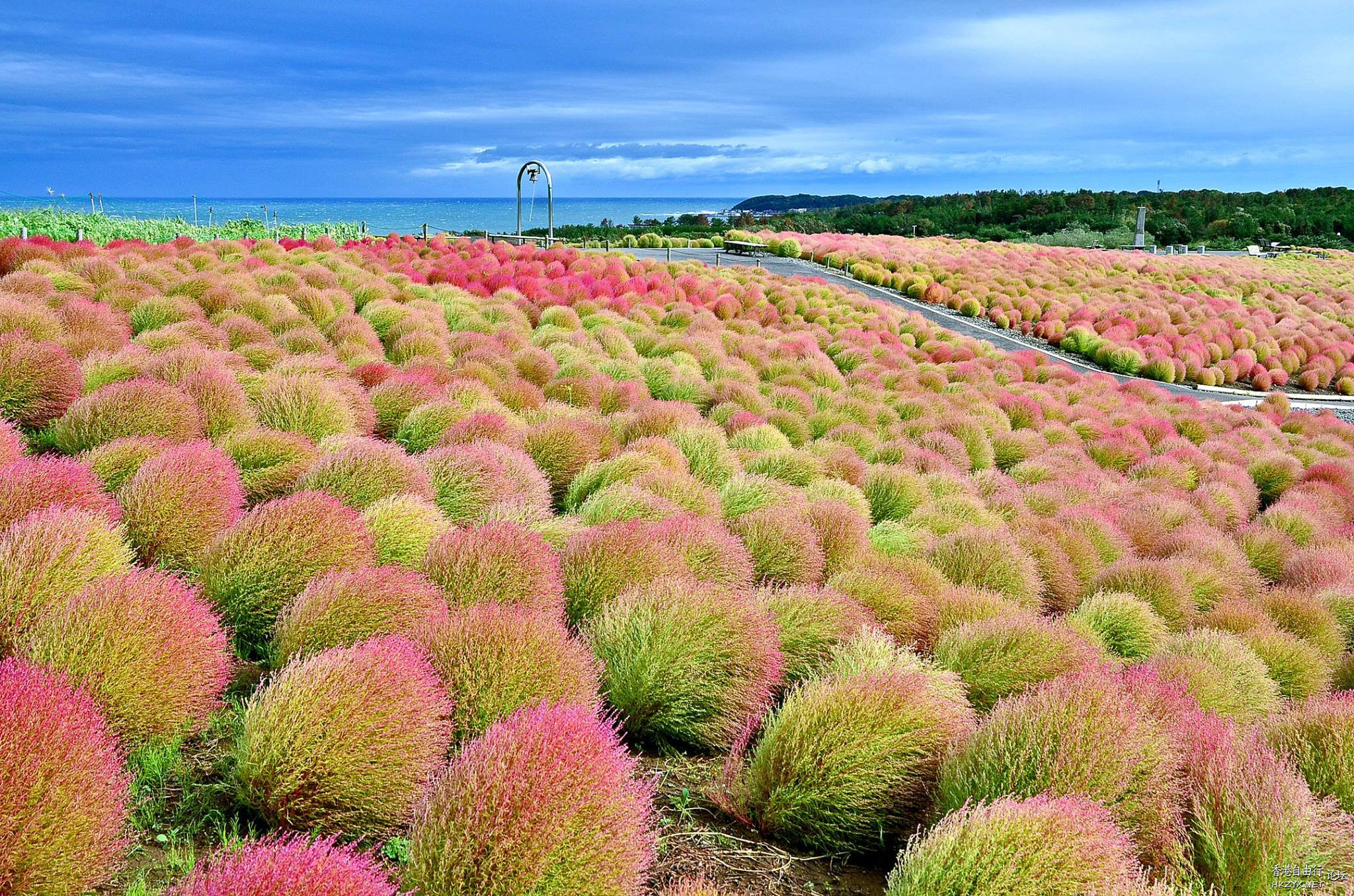 日本茨城賞紅葉  World Travel 世界旅遊