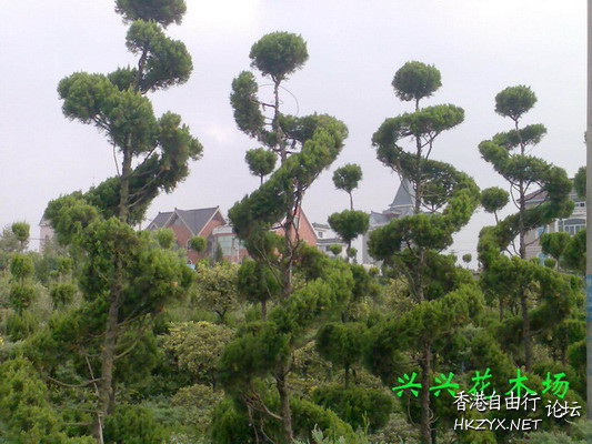   World Travel 世界旅遊