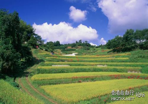    Landscape 山水湖林