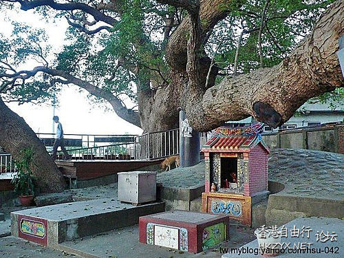 老縣的曉風殘月  World Travel 世界旅遊