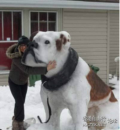   Pets 寵物護理 +紀念堂