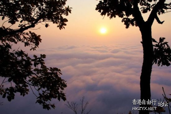   貼上 精華分享