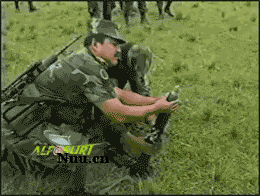   專題報導