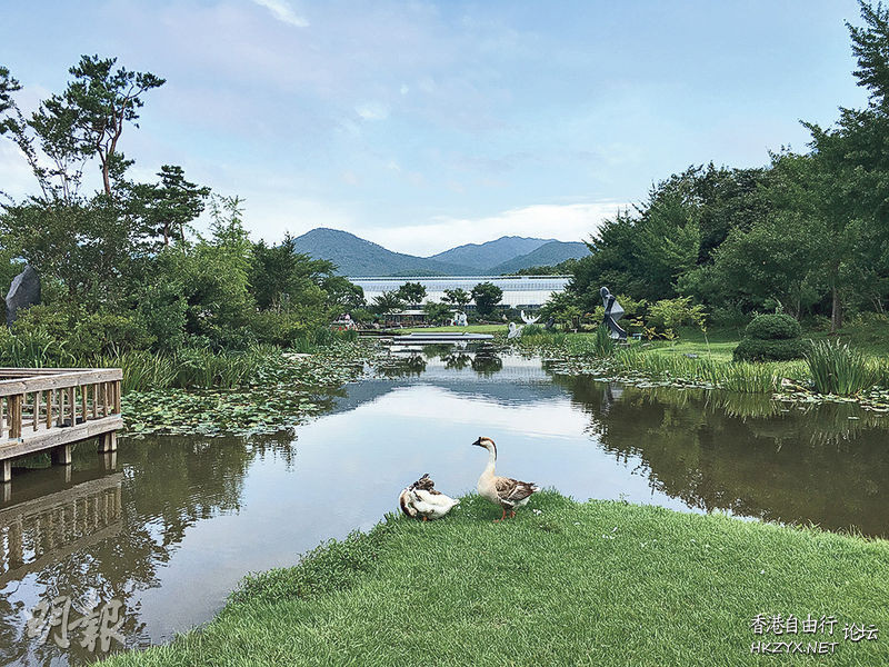 　　靜能養生，靜能開悟  「安心法」養生
