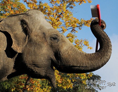 動物奇趣精選  Ecology 生態留影