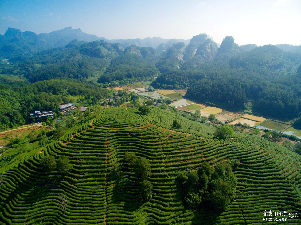 武夷山遊記  ChinaTravel 中國觀光景點
