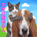   QQ表情圖