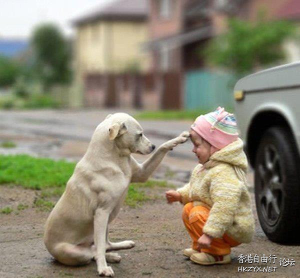 狗 : 要養我就不要拋棄我  Funny Baby