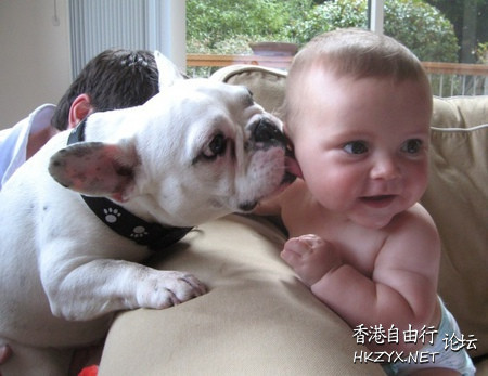 狗 : 要養我就不要拋棄我  Funny Baby