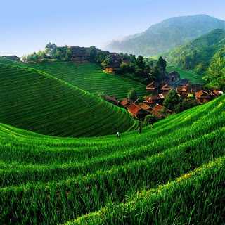    Landscape 山水湖林