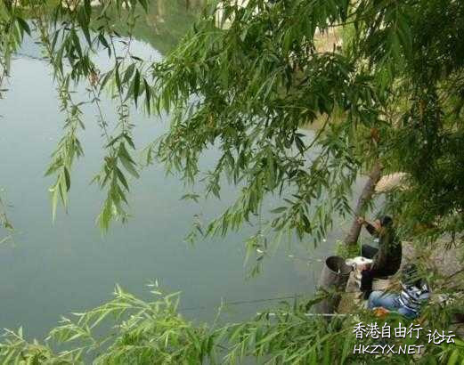 钓黑鱼的技巧与方法  教你釣魚/釣蟹法
