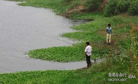 钓黑鱼的技巧与方法  教你釣魚/釣蟹法