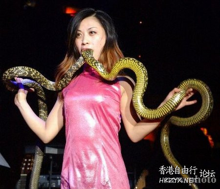 女模被被咬胸-蛇中毒死亡  世界奇闻