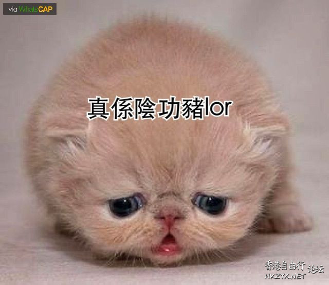   笑談人生 + 午夜私語