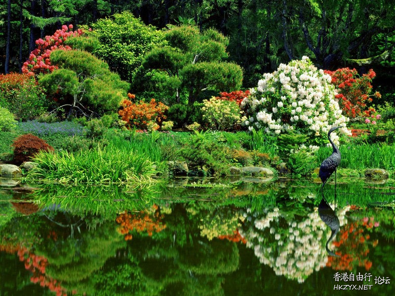    Landscape 山水湖林