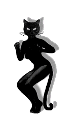 Cat dancing  Pets 寵物護理 +紀念堂