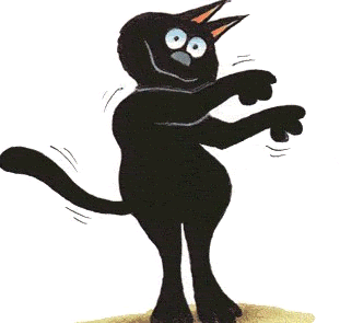 Cat dancing  Pets 寵物護理 +紀念堂