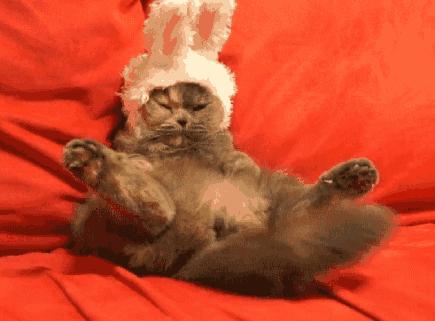 Easter joy to the world  基督教