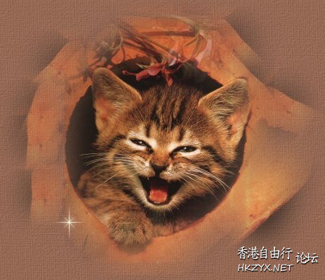 Easter joy to the world  基督教