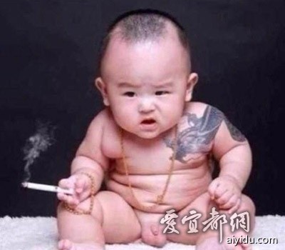   Baby 虾仔虾女