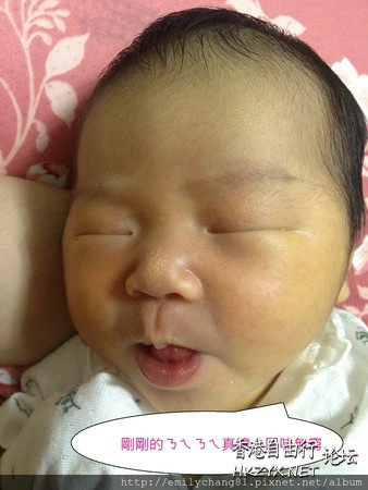   Baby 虾仔虾女