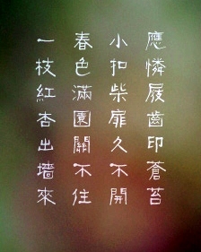  笑談人生 + 午夜私語