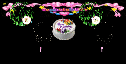   Fireworks 烟花
