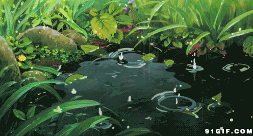 荷花、雨水、萌妹子  Flowers花卉