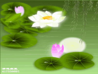 探幽禅意总是空  山水花林啓唔人生