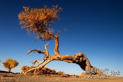 愛不是憐憫， 婚姻不是敷衍  男人吹水亭