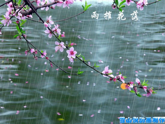 凋了荷花多惆悵  学科頻道 + 學生園地