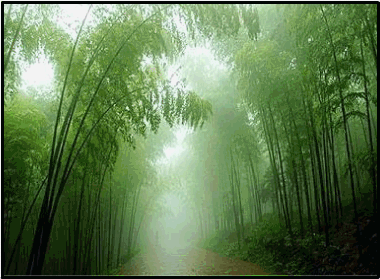   World Travel 世界旅遊