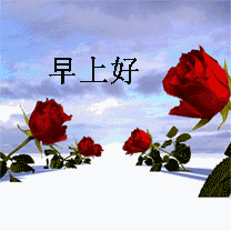   貼上 精華分享