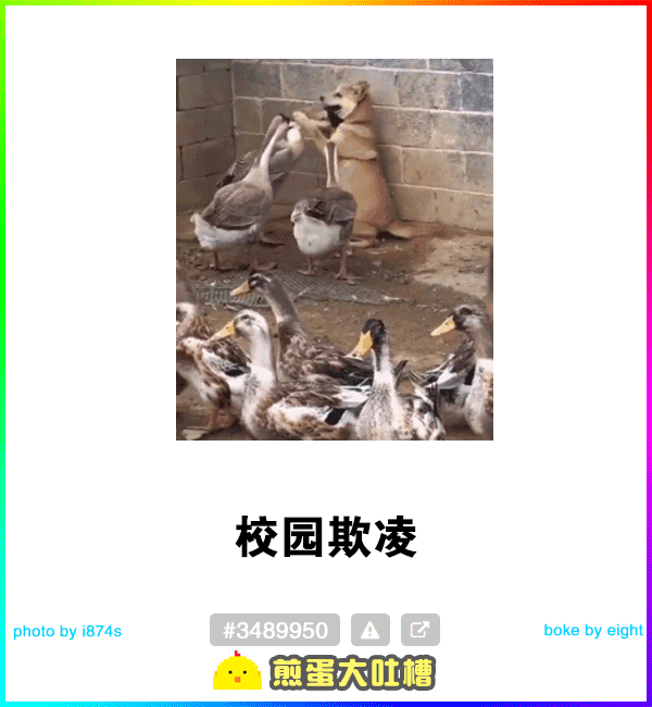 好笑的貓狗大戰  Pets 寵物護理 +紀念堂