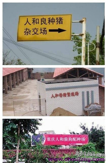 幽默笑话  Nonsensical 無厘頭图片