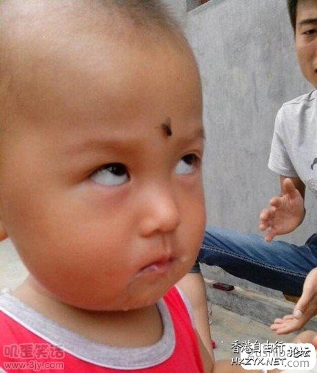   Baby 虾仔虾女