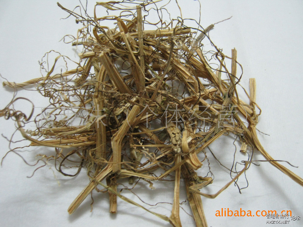 排石偏方 : 腎,膀胱,膽結  内科防治室