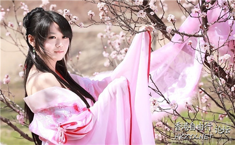 侠肝义胆李香君  歷史回顧