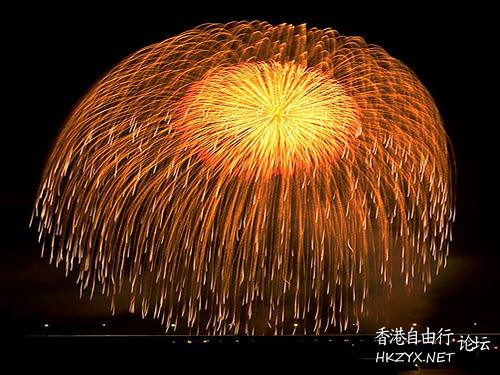   Fireworks 烟花