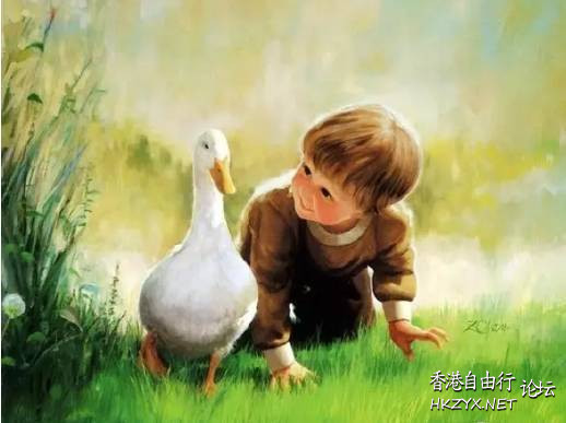   Baby 虾仔虾女
