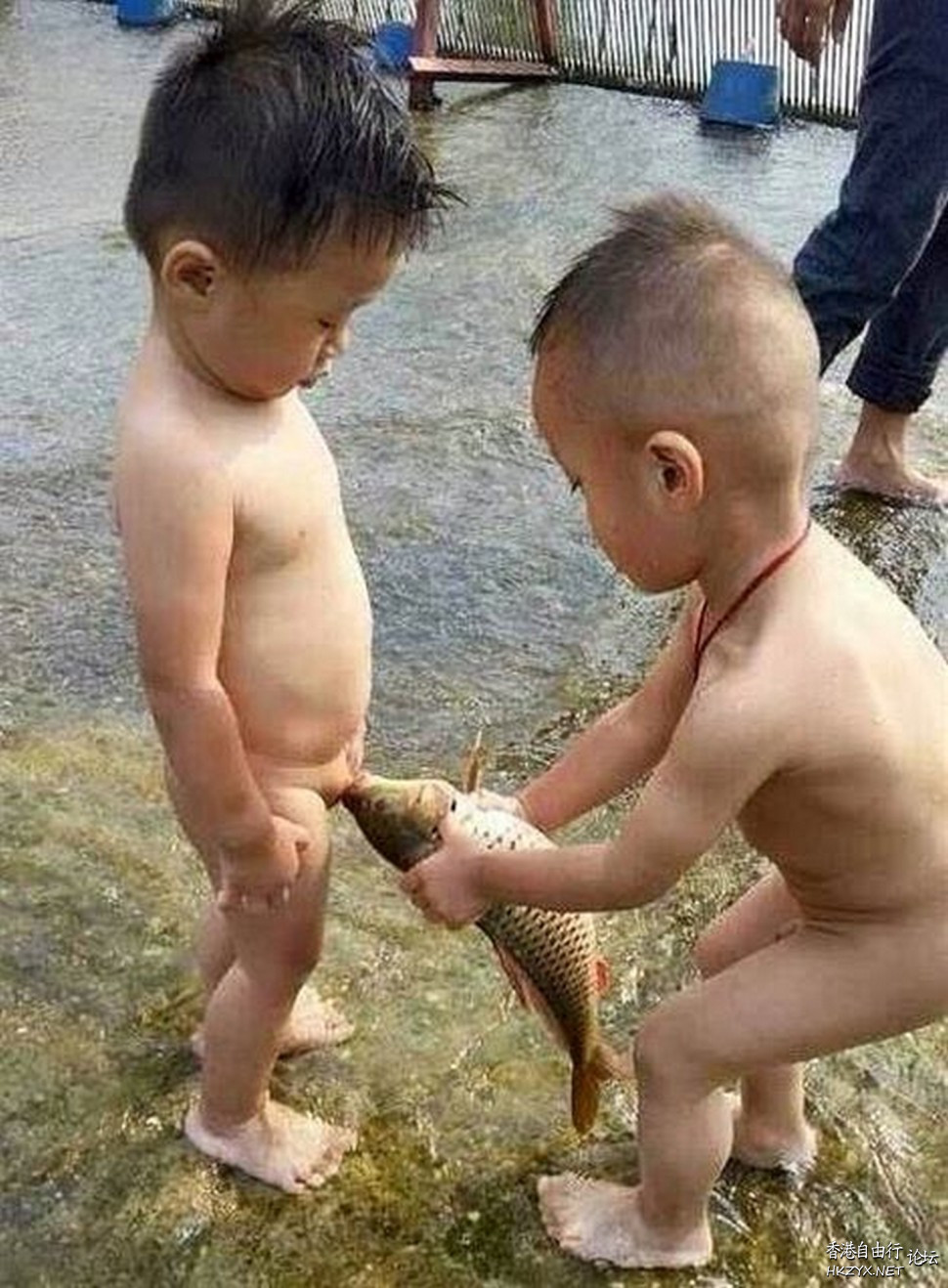   Baby 虾仔虾女