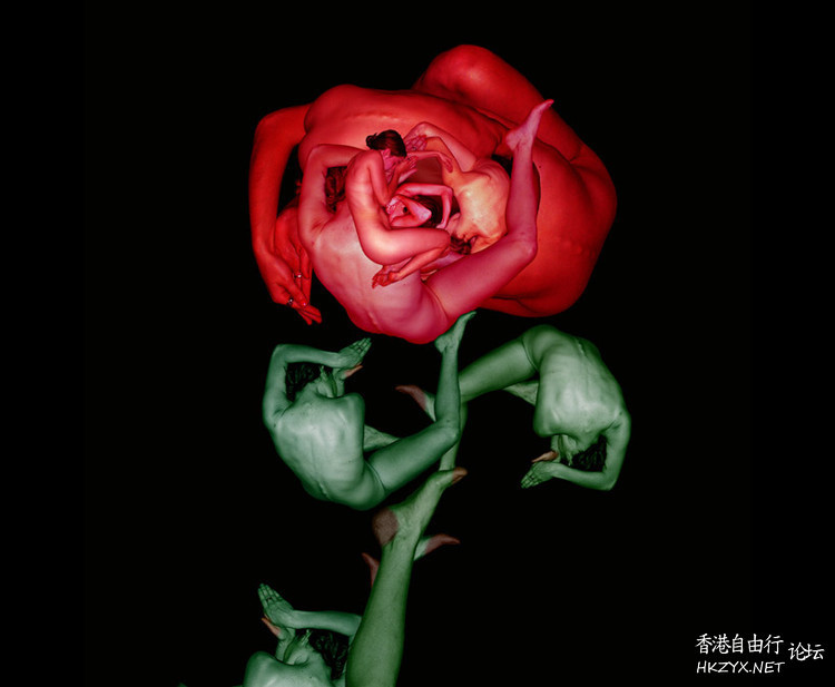   Baby 虾仔虾女