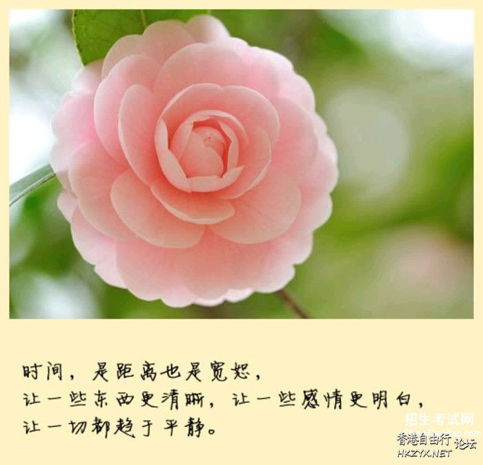 经典爱情谜语短信。  笑談人生 + 午夜私語