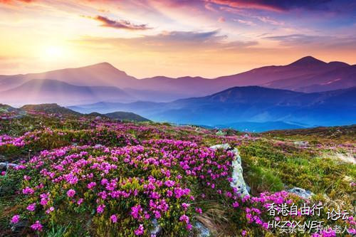 晚霞一景難忘  Sunset 夕陽