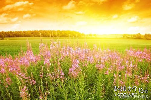 體悟人生 越老越快樂  人生哲理