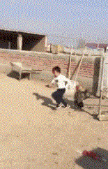   Funny Baby