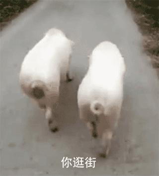   Nonsensical 無厘頭图片