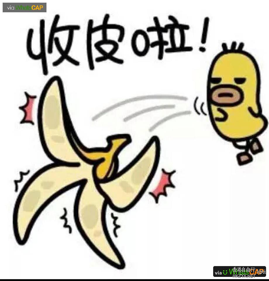 香港地道下流俗語  獅子山下俗語漫談
