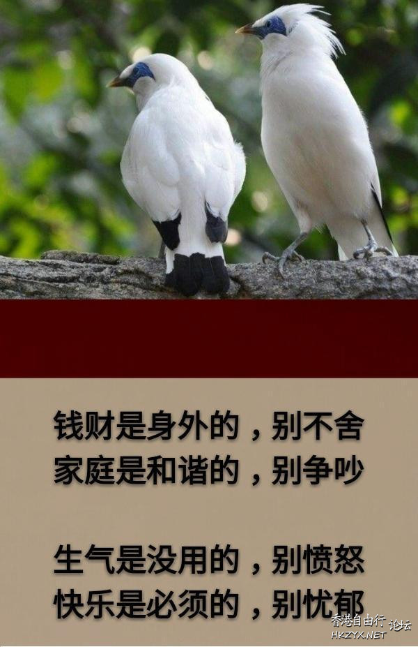 生活是享受的，別太苦  山水花林啓唔人生