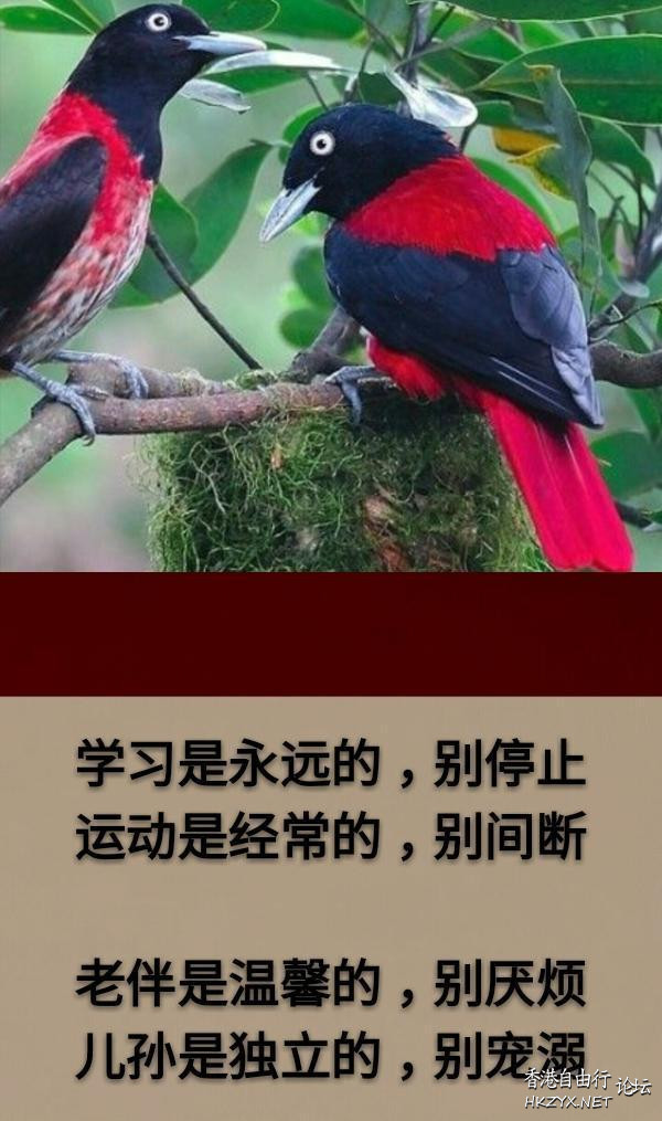 生活是享受的，別太苦  山水花林啓唔人生